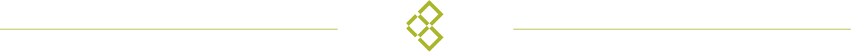 Separatore video - logo alfibra